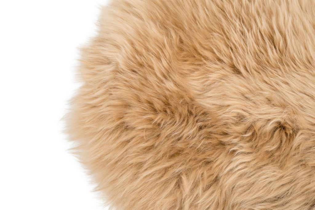 2629-Schaffell-umbra---Lammfell_2.png