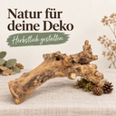 Kuwa Deko-Wurzel, Natur (Morus) – im Einsatz