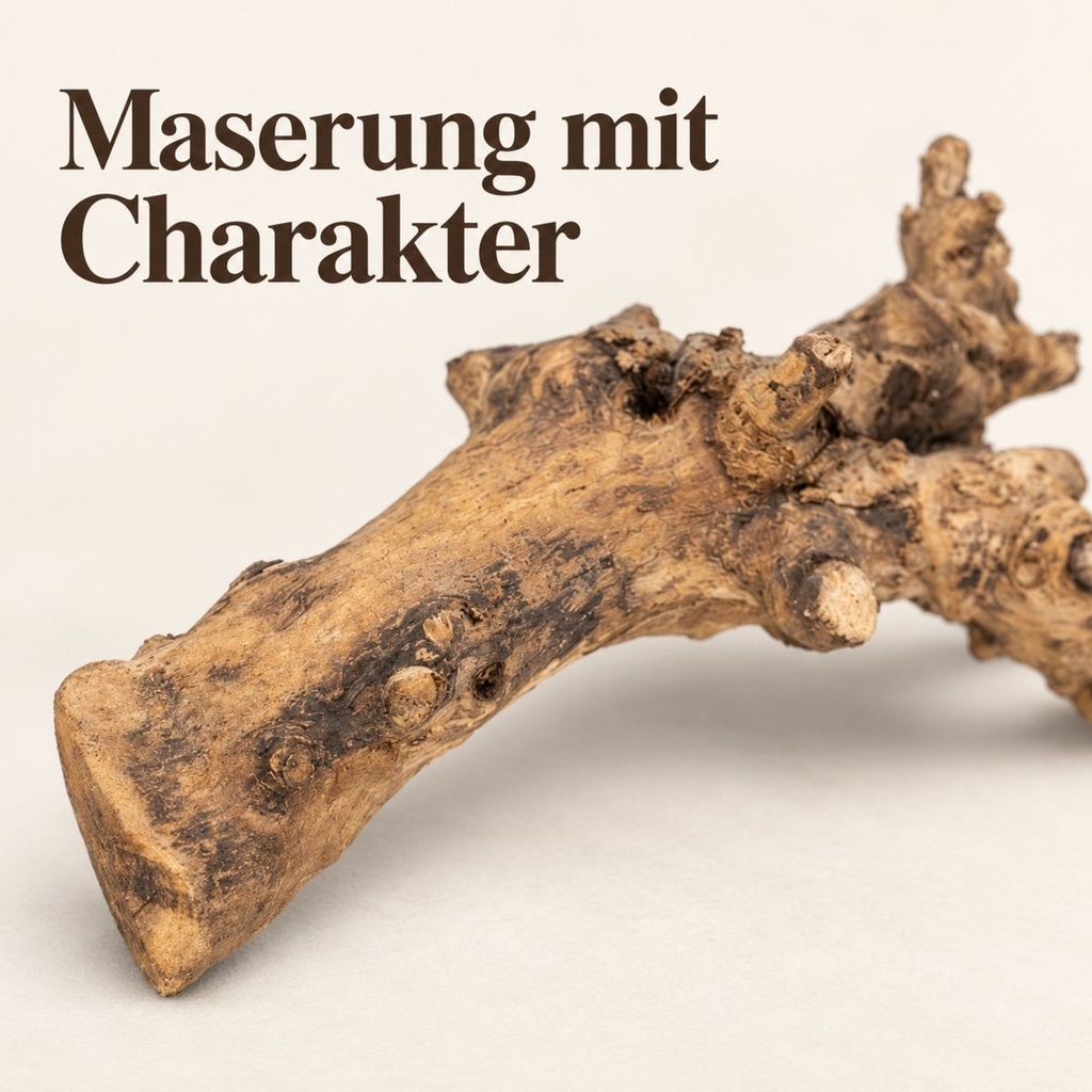 Kuwa Deko-Wurzel, Natur (Morus) – Nahaufnahme der Oberfläche