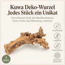 Kuwa Deko-Wurzel, Natur (Morus) – Eigenschaften im Überblick