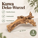 Kuwa Deko-Wurzel, Natur (Morus) – Maße und Liefermenge auf einen Blick