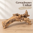 Kuwa Deko-Wurzel, Natur (Morus) – in einer zweiten Verwendung