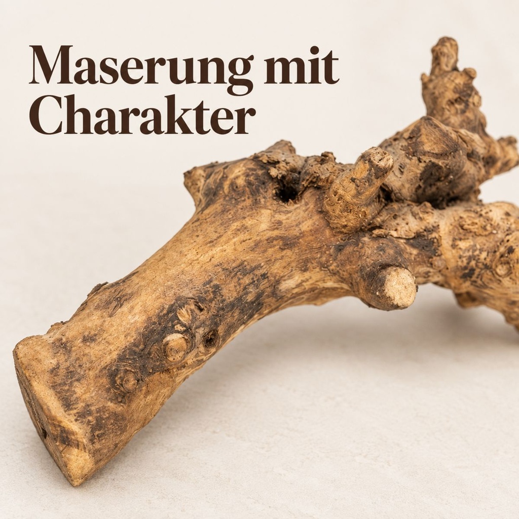 Kuwa Deko-Wurzel, Natur (Morus) – Nahaufnahme der Oberfläche