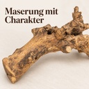 Kuwa Deko-Wurzel, Natur (Morus) – Nahaufnahme der Oberfläche