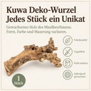 Kuwa Deko-Wurzel, Natur (Morus) – Eigenschaften im Überblick