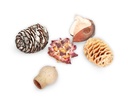 2755-Dekozapfen-Mix-aus-Suedafrika--verpackt-mit-0-5-kg--Groesse-ca--2-4cm-ca--60-80-einzelne-Naturzapfen---Tannenzapfen_1.jpg