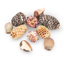2755-Dekozapfen-Mix-aus-Suedafrika--verpackt-mit-0-5-kg--Groesse-ca--2-4cm-ca--60-80-einzelne-Naturzapfen---Tannenzapfen_3.jpg