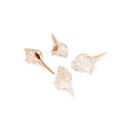 2808-Murex-trapa-1-kg-3-7-cm-kleine-Stachelschnecken-Schneckenhaeuser-Deko-maritim_1.jpg