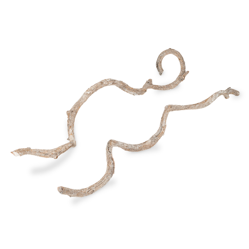 Cipo Fina Lianen weiß 5 Stück ca. 60cm 2