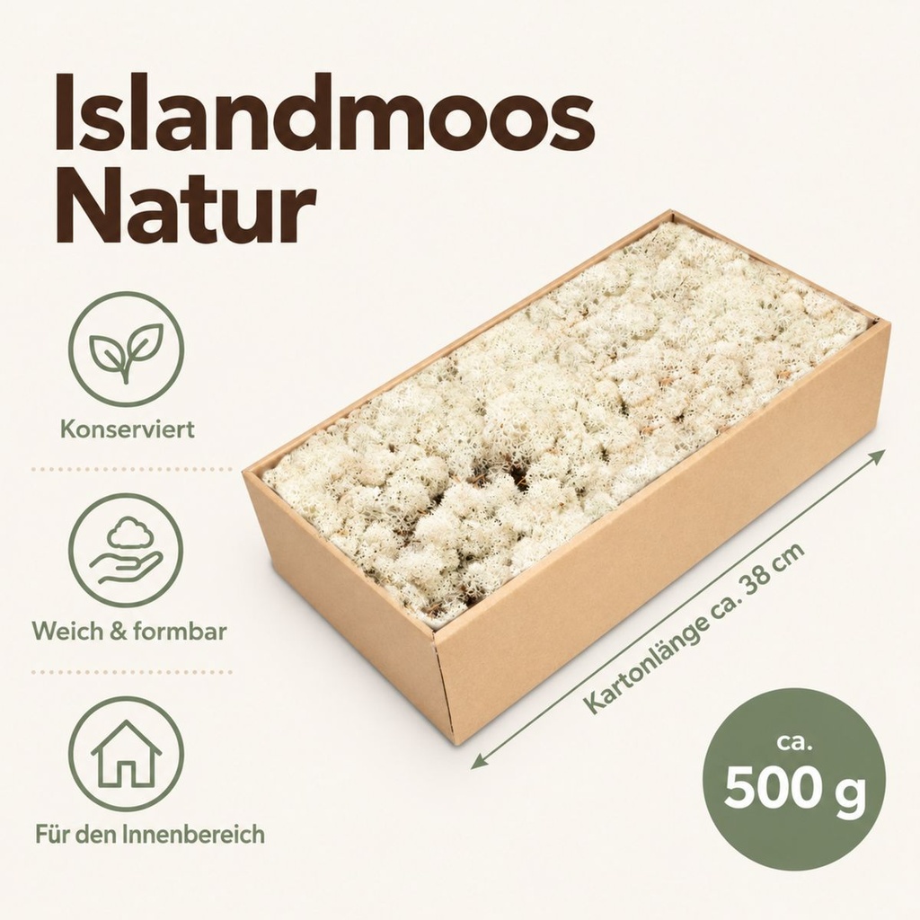 Islandmoos Natur, Natur, 500 g – Maße und Liefermenge auf einen Blick