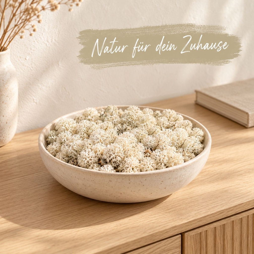 Islandmoos Natur, Natur, 500 g – dekoriert im Wohnraum
