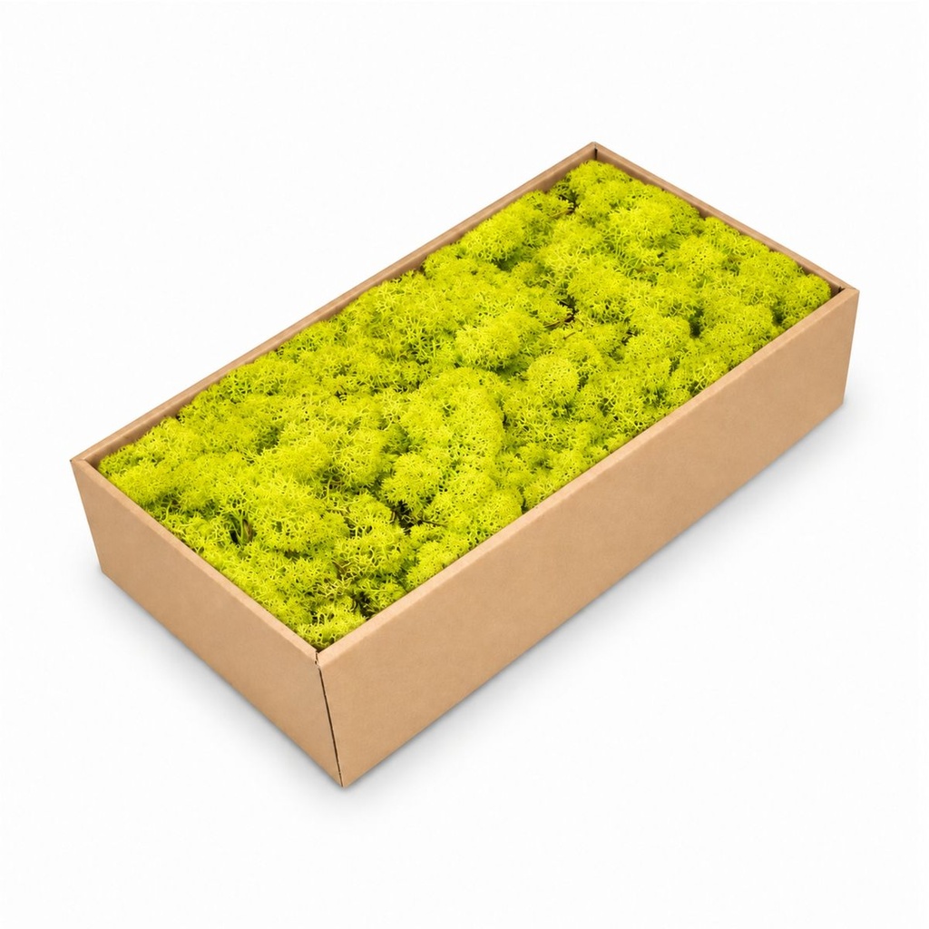 Islandmoos Apfelgrün, Apfelgrün, 500 g – Produktfoto auf weißem Hintergrund