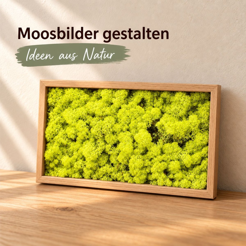 Islandmoos Apfelgrün, Apfelgrün, 500 g – im Einsatz