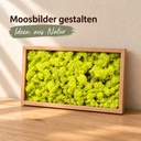 Islandmoos Apfelgrün, Apfelgrün, 500 g – im Einsatz