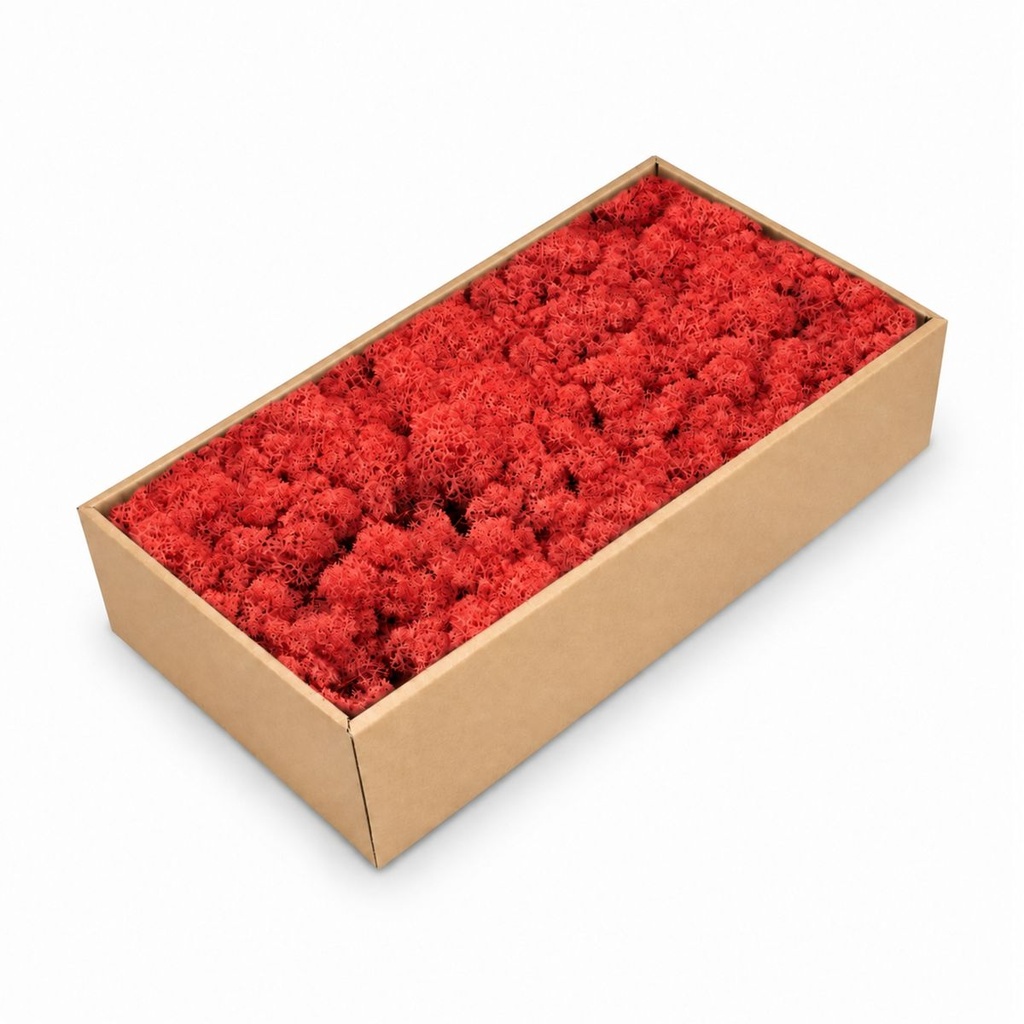 Islandmoos Rot, Rot, 500 g – Produktfoto auf weißem Hintergrund