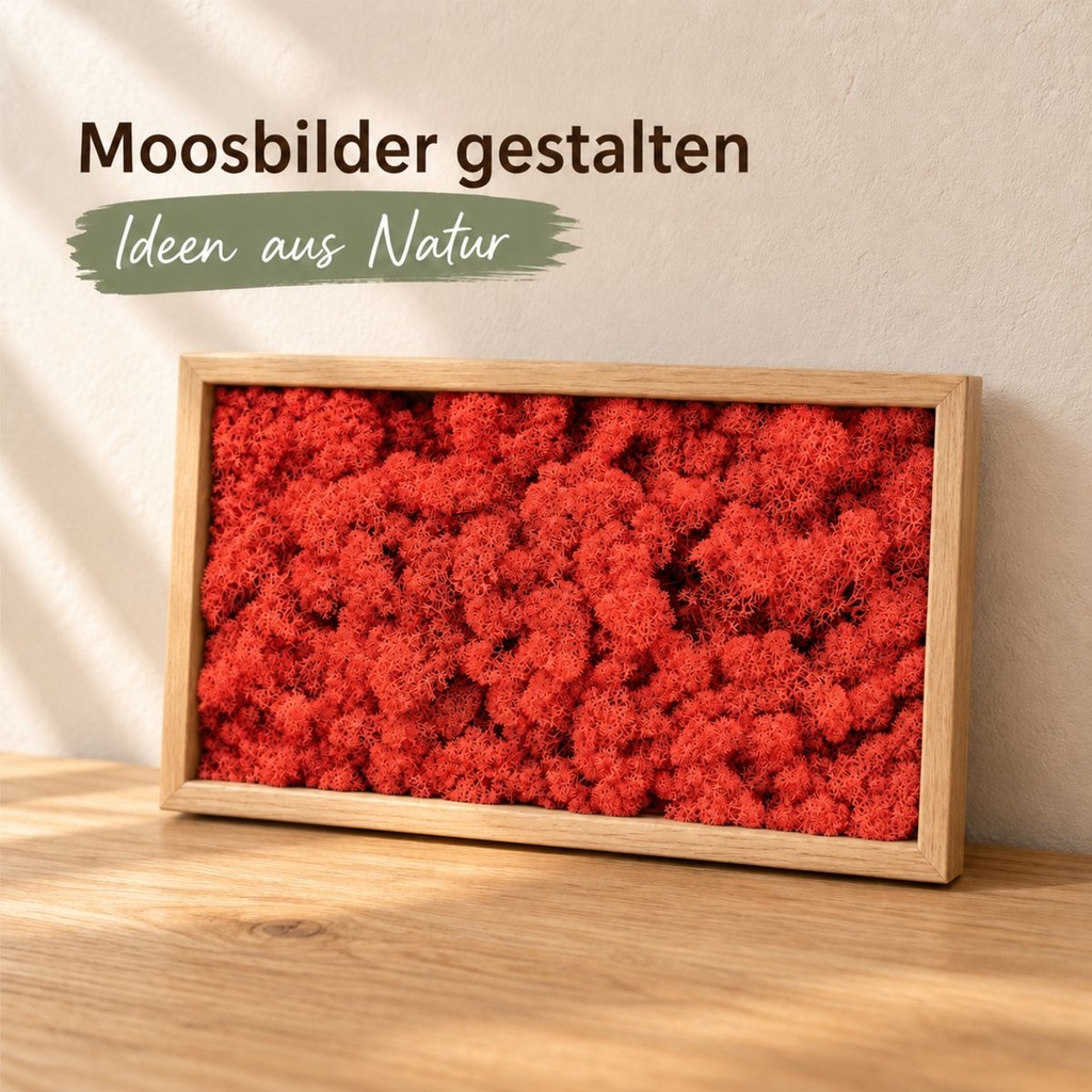 Islandmoos Rot, Rot, 500 g – im Einsatz