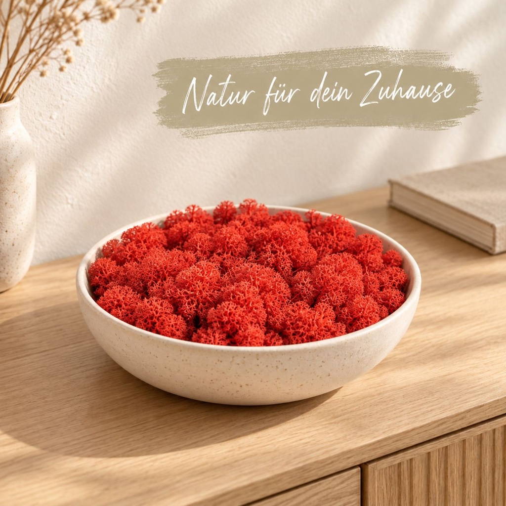 Islandmoos Rot, Rot, 500 g – dekoriert im Wohnraum