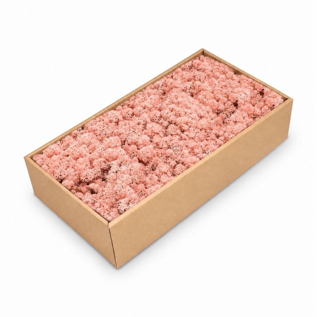 Islandmoos Pink, Pink, 500 g – Produktfoto auf weißem Hintergrund