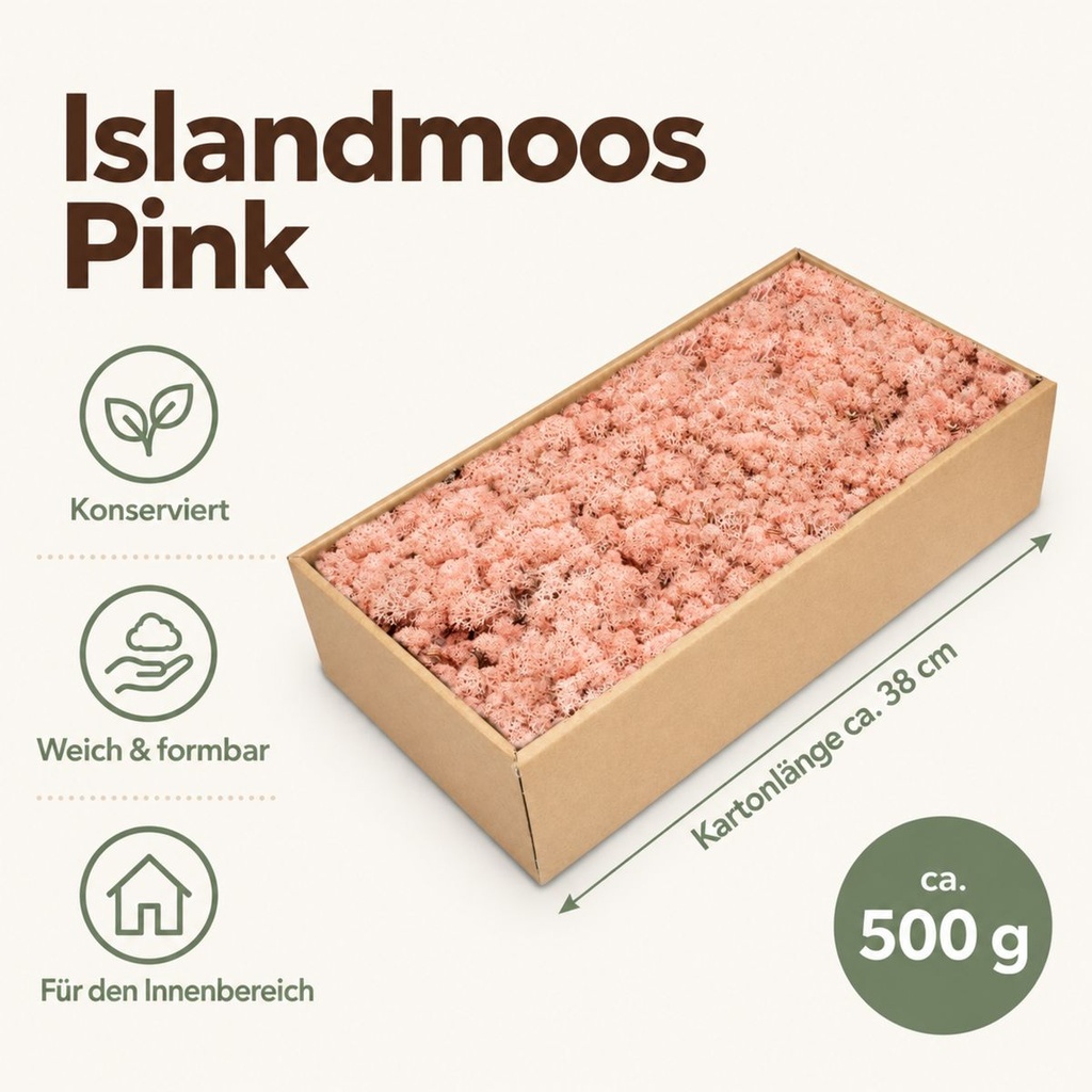 Islandmoos Pink, Pink, 500 g – Maße und Liefermenge auf einen Blick