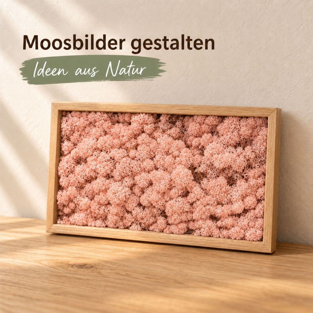 Islandmoos Pink, Pink, 500 g – im Einsatz