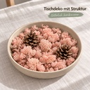 Islandmoos Pink, Pink, 500 g – in einer zweiten Verwendung
