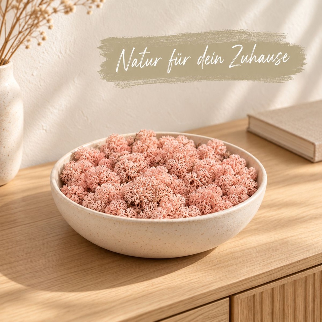 Islandmoos Pink, Pink, 500 g – dekoriert im Wohnraum