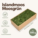 Islandmoos Moosgrün, Moosgrün, 500 g – Maße und Liefermenge auf einen Blick