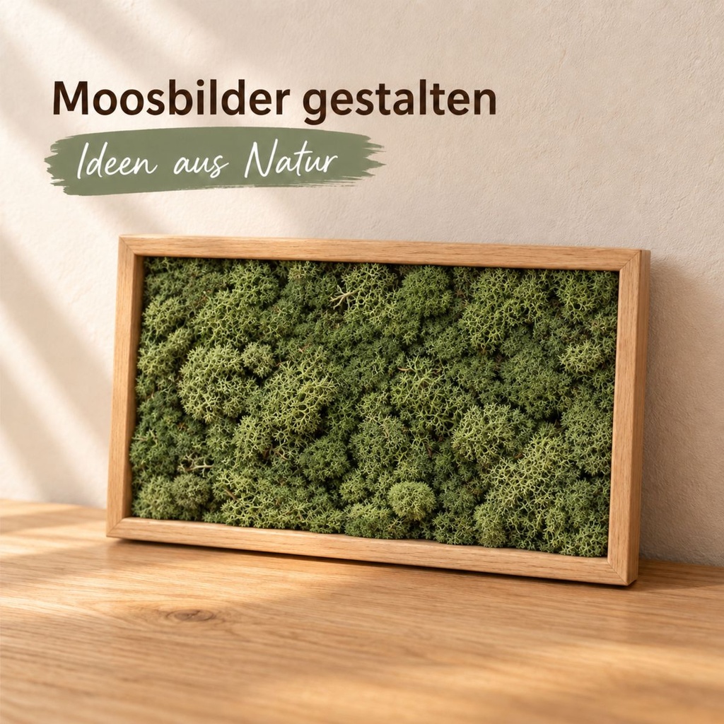 Islandmoos Moosgrün, Moosgrün, 500 g – im Einsatz