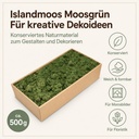 Islandmoos Moosgrün, Moosgrün, 500 g – Eigenschaften im Überblick