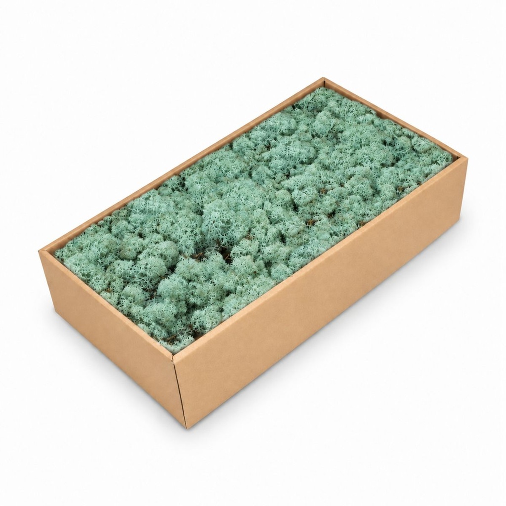 Islandmoos Pacificgrün, Pacificgrün, 500 g – Produktfoto auf weißem Hintergrund