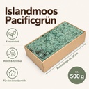 Islandmoos Pacificgrün, Pacificgrün, 500 g – Maße und Liefermenge auf einen Blick