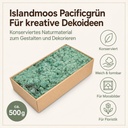 Islandmoos Pacificgrün, Pacificgrün, 500 g – Eigenschaften im Überblick