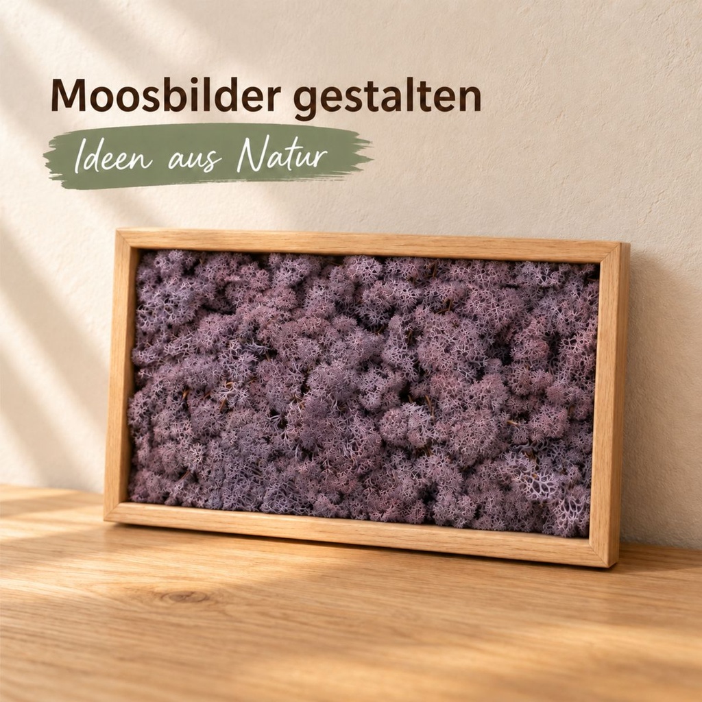 Islandmoos Lila, Lila, 500 g – im Einsatz