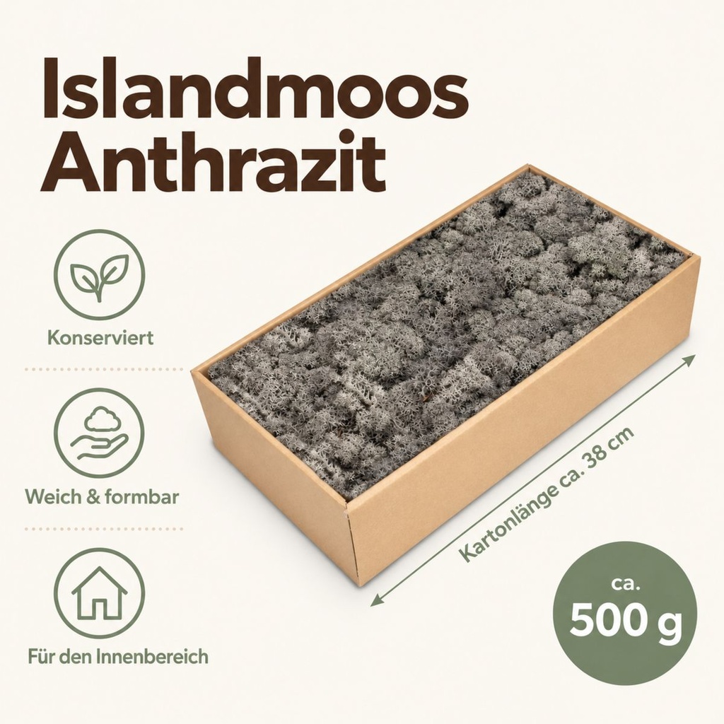 Islandmoos Anthrazit, Anthrazit, 500 g – Maße und Liefermenge auf einen Blick
