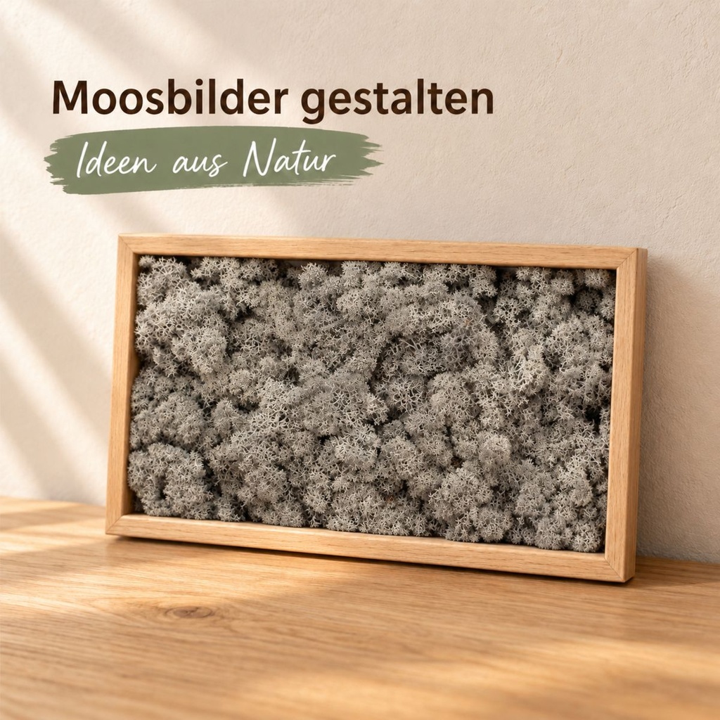 Islandmoos Anthrazit, Anthrazit, 500 g – im Einsatz