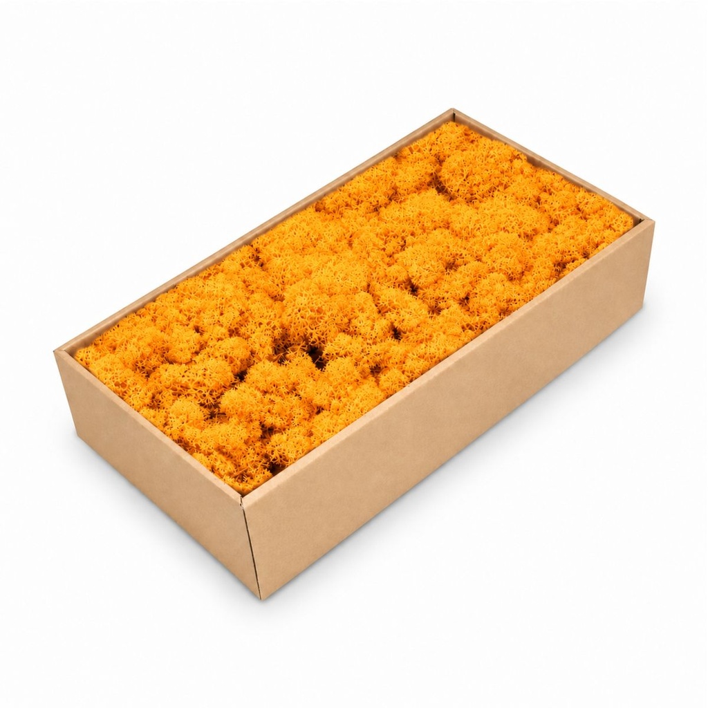Islandmoos Orange, Orange, 500 g – Produktfoto auf weißem Hintergrund