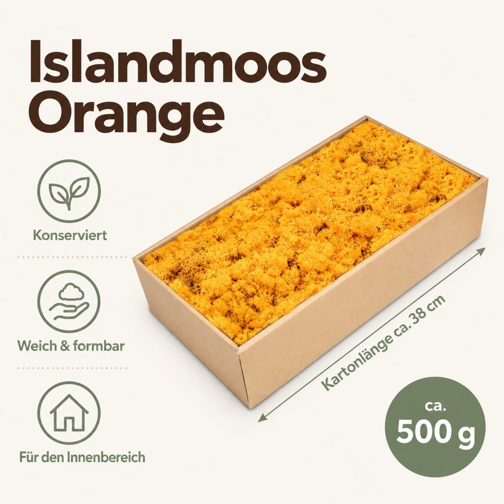 Islandmoos Orange, Orange, 500 g – Maße und Liefermenge auf einen Blick