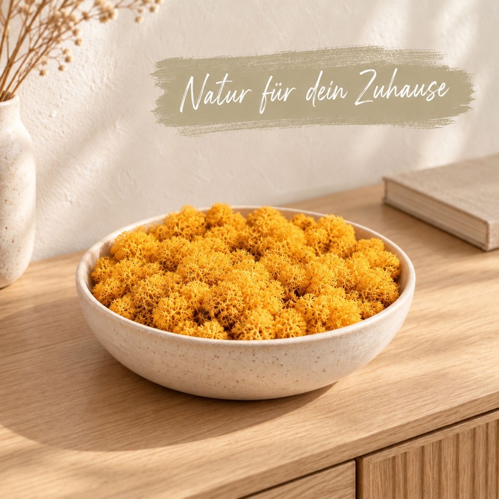 Islandmoos Orange, Orange, 500 g – dekoriert im Wohnraum