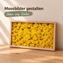 Islandmoos Gelb, Gelb, 500 g – im Einsatz