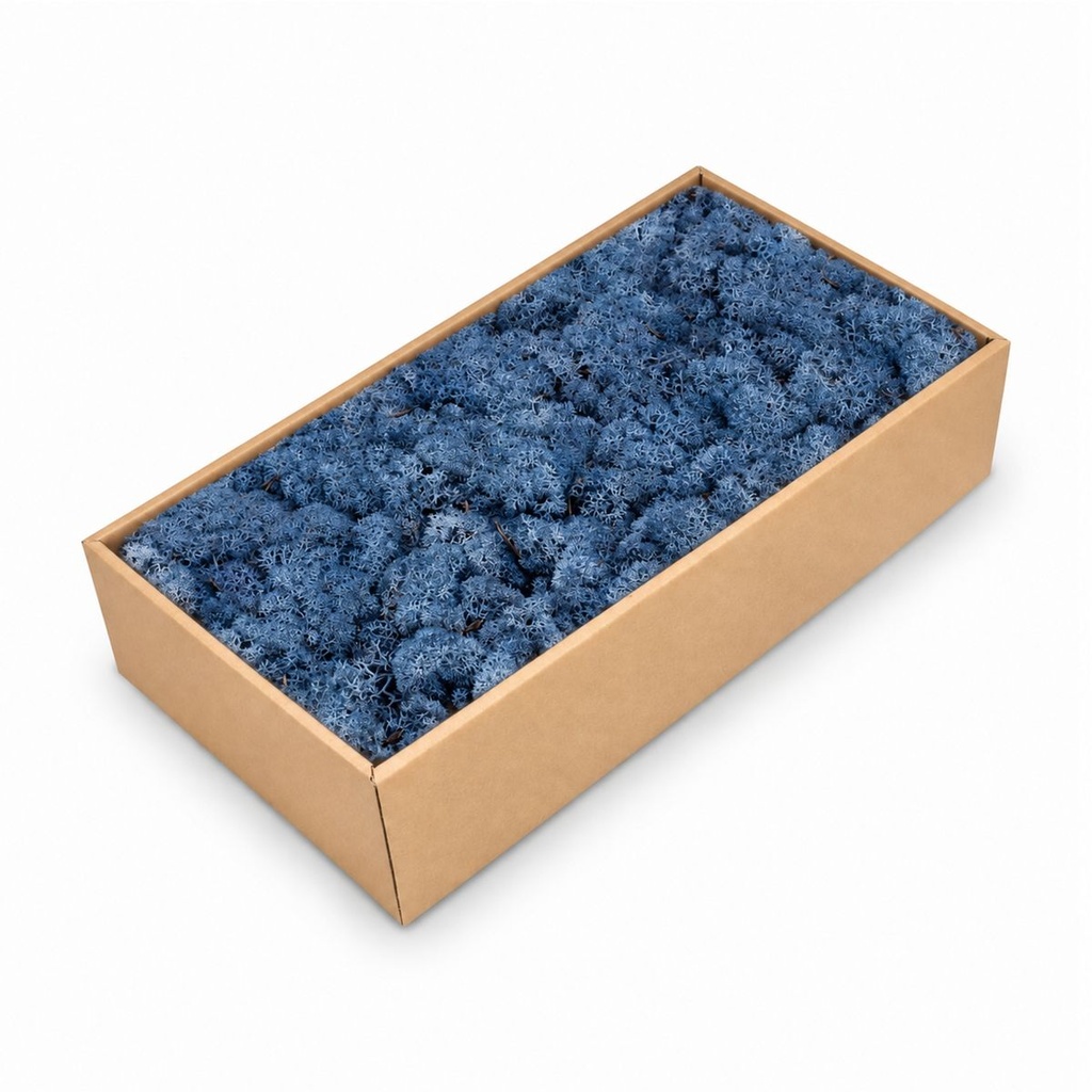 Islandmoos Blau, Blau, 500 g – Produktfoto auf weißem Hintergrund