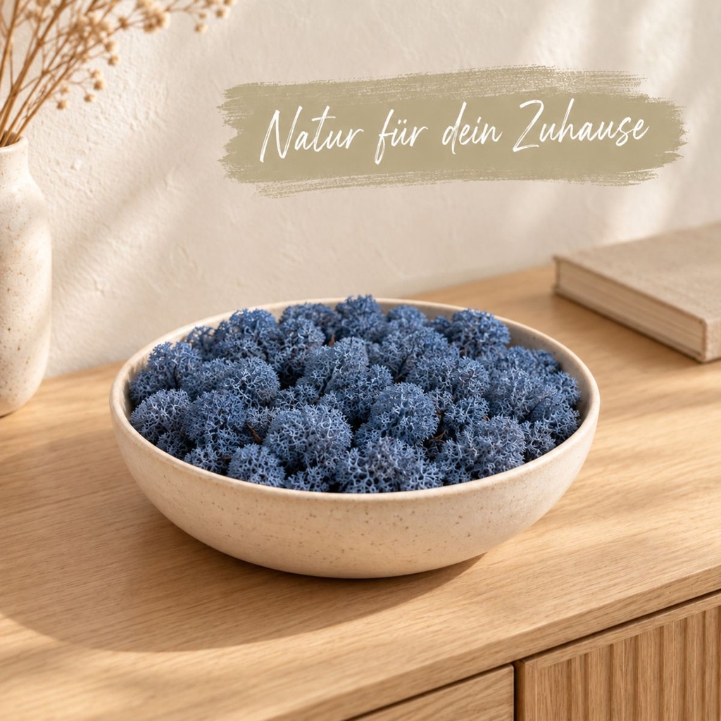 Islandmoos Blau, Blau, 500 g – dekoriert im Wohnraum