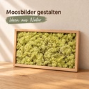 Islandmoos Altgrün, Altgrün, 500 g – im Einsatz