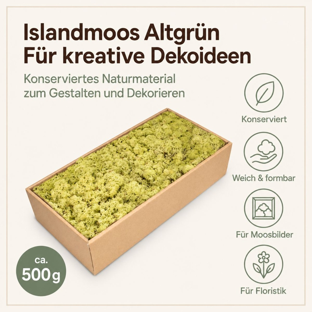 Islandmoos Altgrün, Altgrün, 500 g – Eigenschaften im Überblick