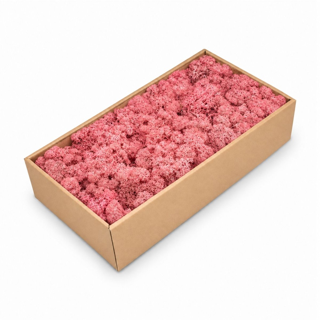 Islandmoos Fuchsia, Fuchsia, 500 g – Produktfoto auf weißem Hintergrund