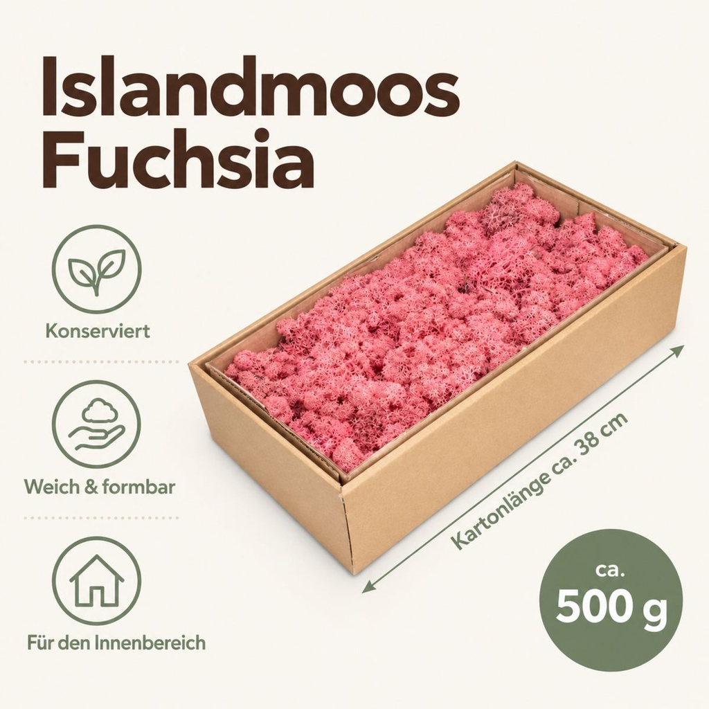 Islandmoos Fuchsia, Fuchsia, 500 g – Maße und Liefermenge auf einen Blick