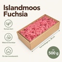Islandmoos Fuchsia, Fuchsia, 500 g – Maße und Liefermenge auf einen Blick