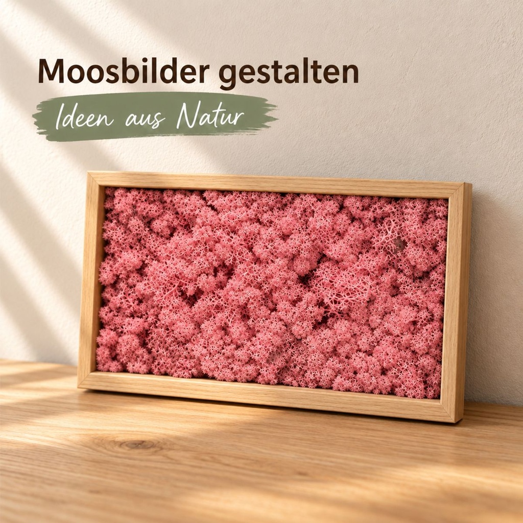Islandmoos Fuchsia, Fuchsia, 500 g – im Einsatz