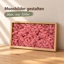 Islandmoos Fuchsia, Fuchsia, 500 g – im Einsatz