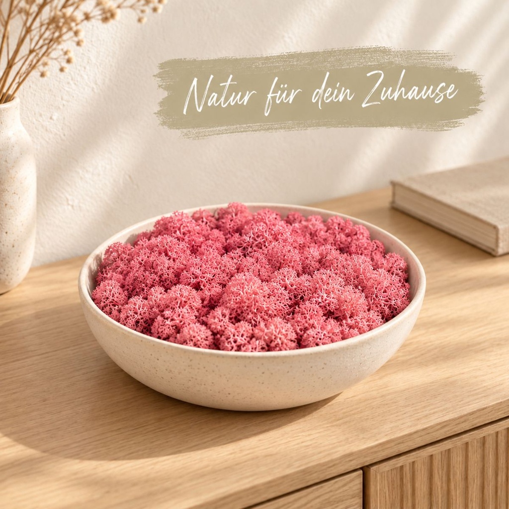 Islandmoos Fuchsia, Fuchsia, 500 g – dekoriert im Wohnraum