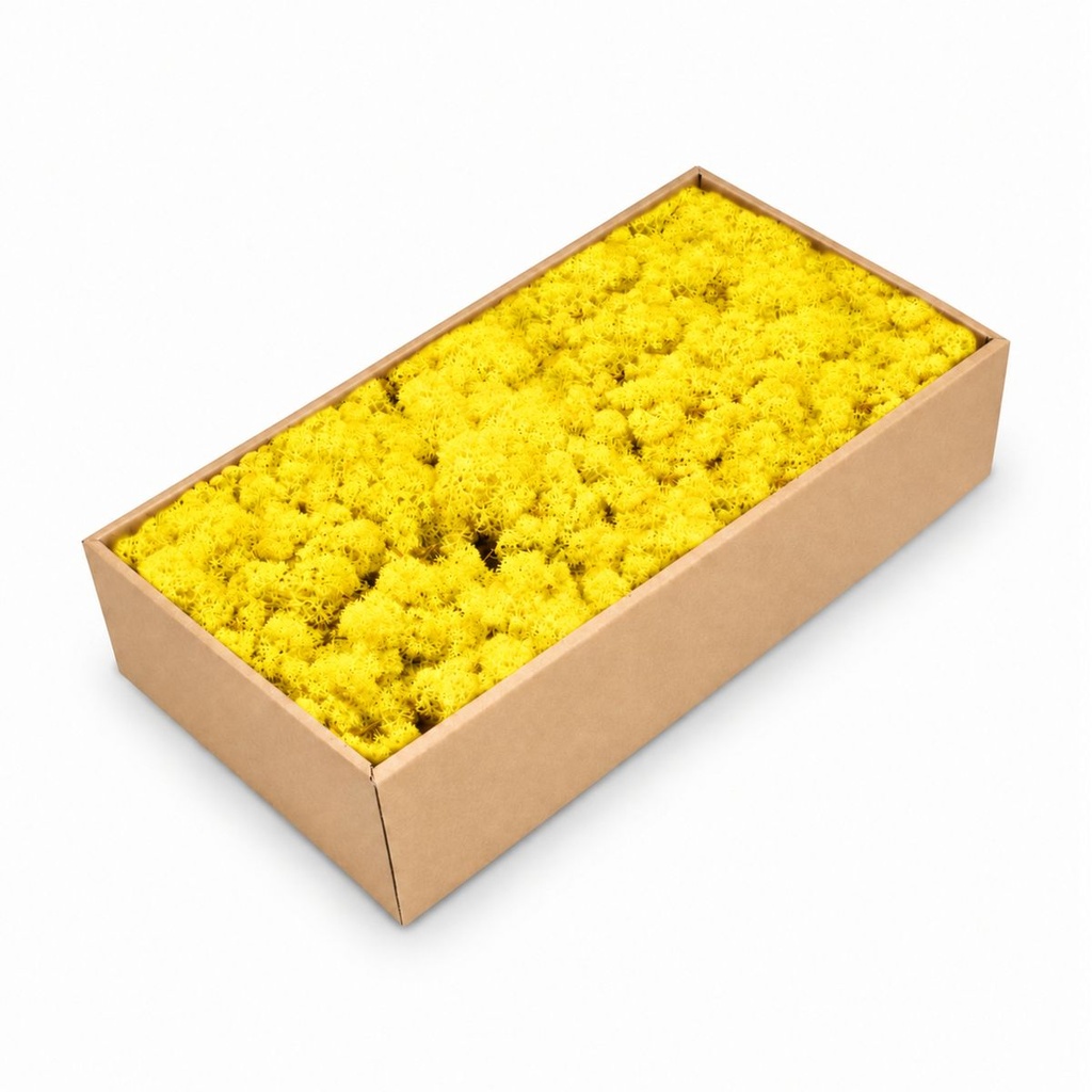 Islandmoos Zitronengelb, Zitronengelb, 500 g – Produktfoto auf weißem Hintergrund